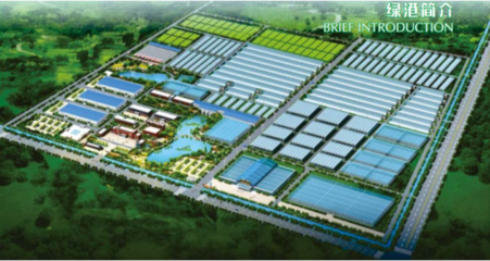 現代農業產業園融合網絡科技 驅動農業現代化的雙引擎